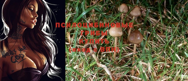 гидра Алексин