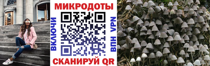 omg ССЫЛКА  Темрюк  Галлюциногенные грибы Psilocybe  где найти наркотики 